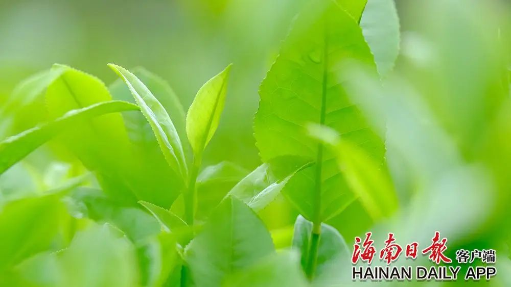 新时代 新征程5.jpg